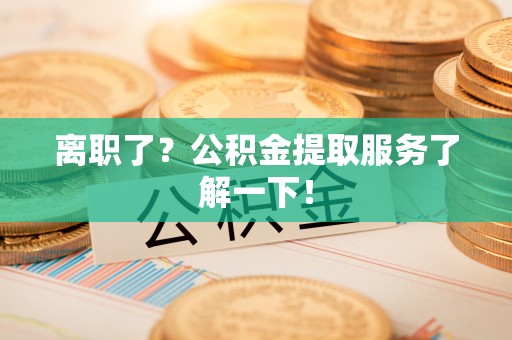海南离职了？公积金提取服务了解一下！