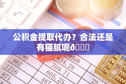 海南公积金提取代办？合法还是有猫腻呢😏