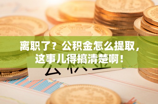 海南离职了？公积金怎么提取，这事儿得搞清楚啊！