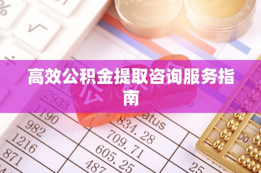 海南高效公积金提取咨询服务指南